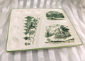 Green and Cream Divided Serving Tray # 26936