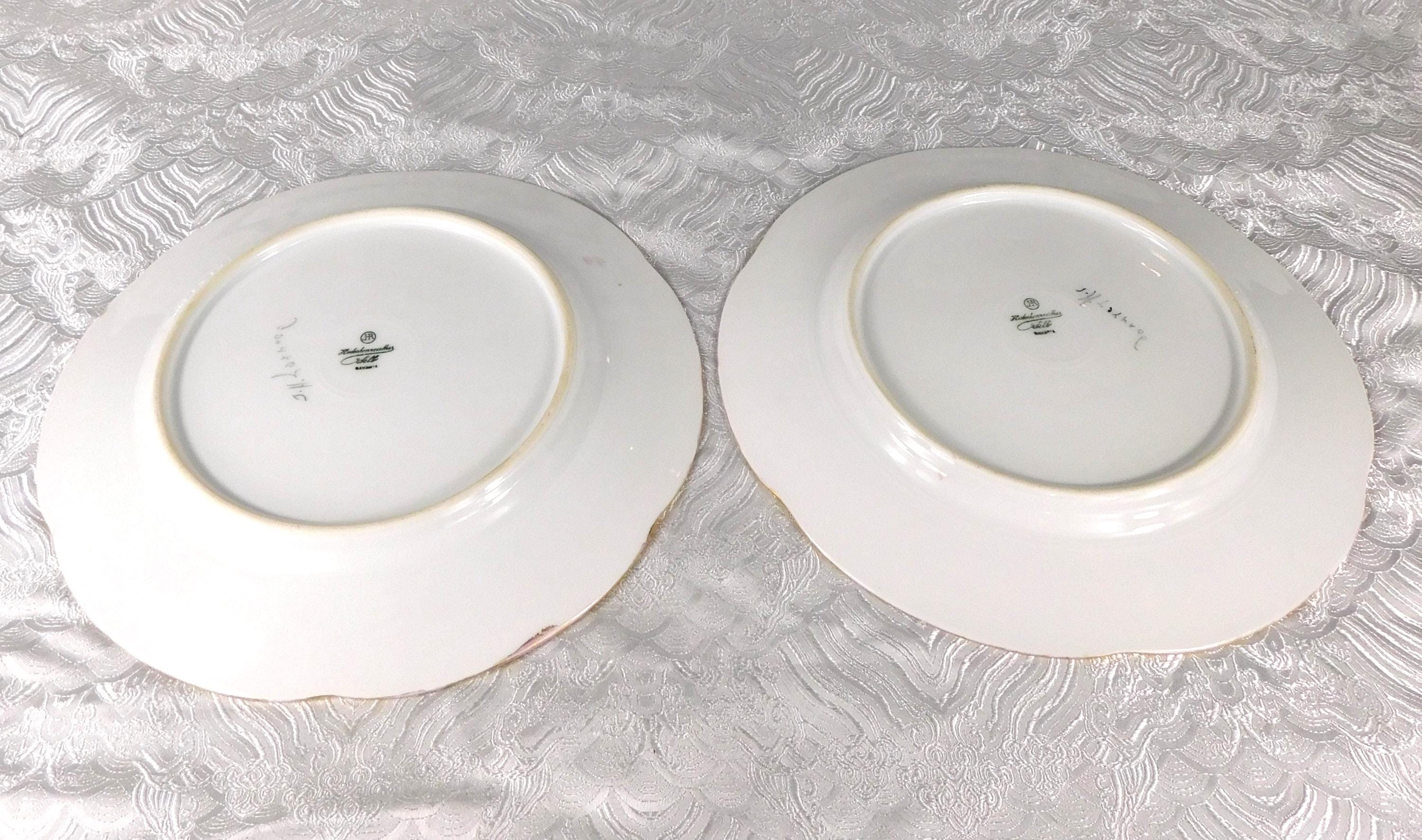 Pair of Two Hand Painted and Signed Hutschenreuther Dinner Plates # 27607