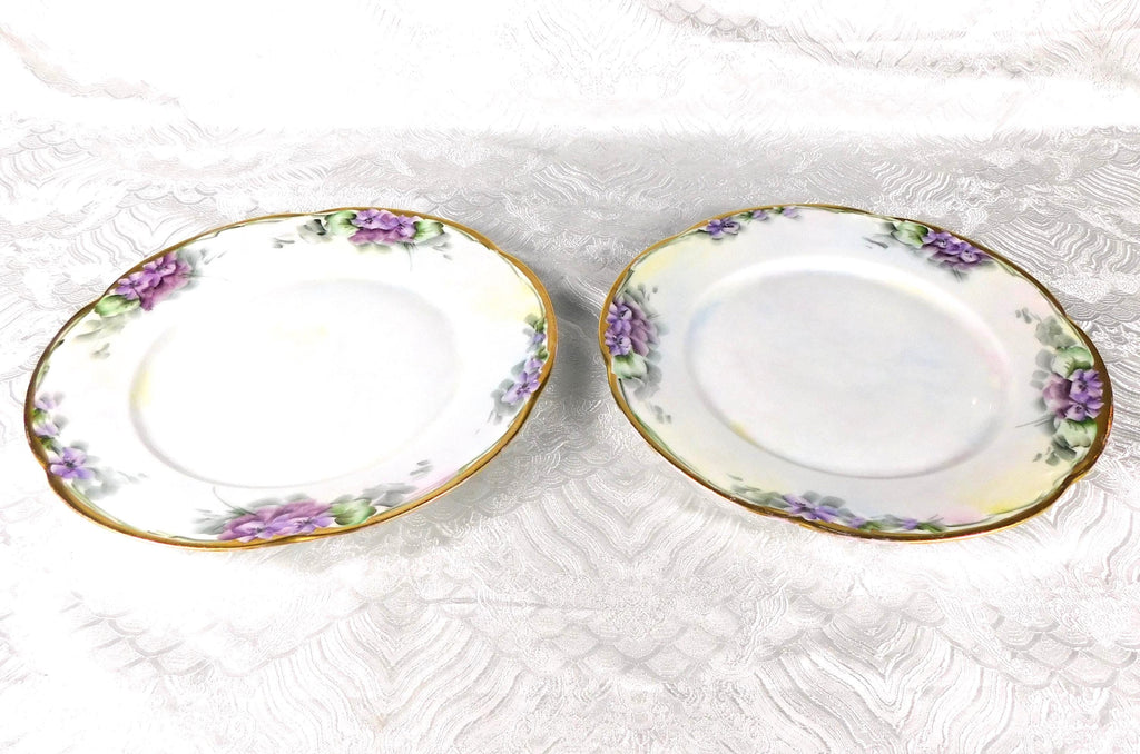 Pair of Two Hand Painted and Signed Hutschenreuther Dinner Plates # 27607