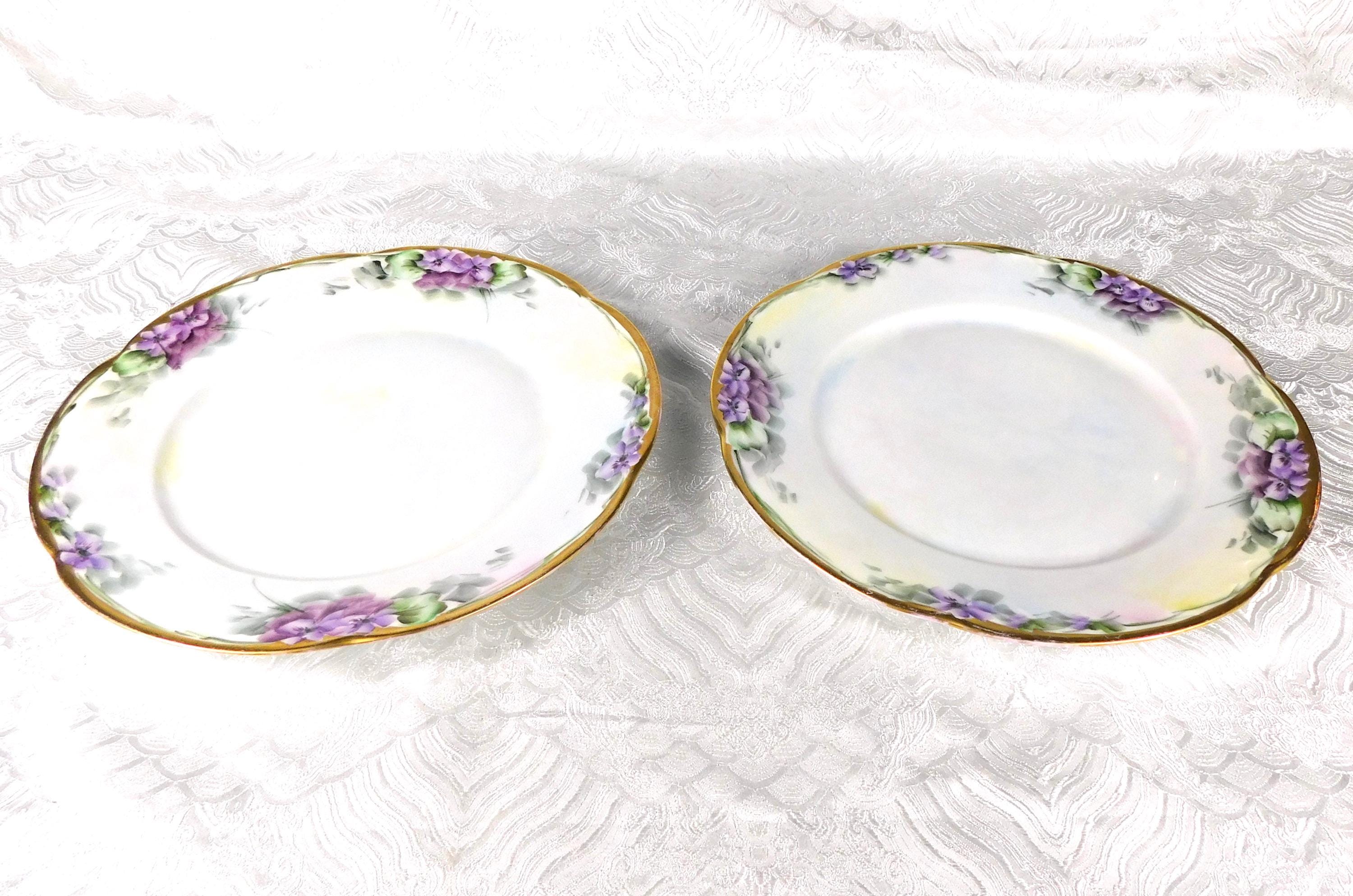 Pair of Two Hand Painted and Signed Hutschenreuther Dinner Plates # 27607