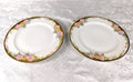 Hutschenreuther Signed and Hand Painted Set of Two Dinner Plates # 27608